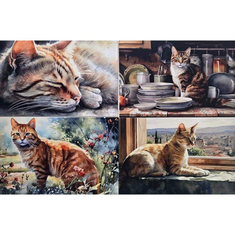 Kartki Magiczna Fauna 4 szt. Kot