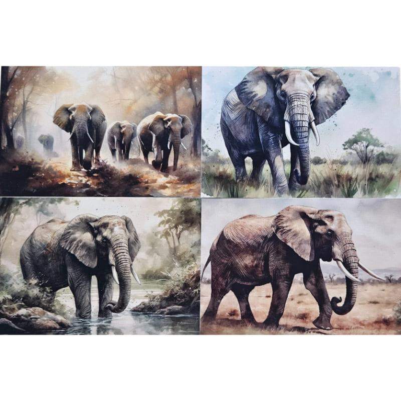 Kartki Magiczna Fauna 4 szt. Słoń