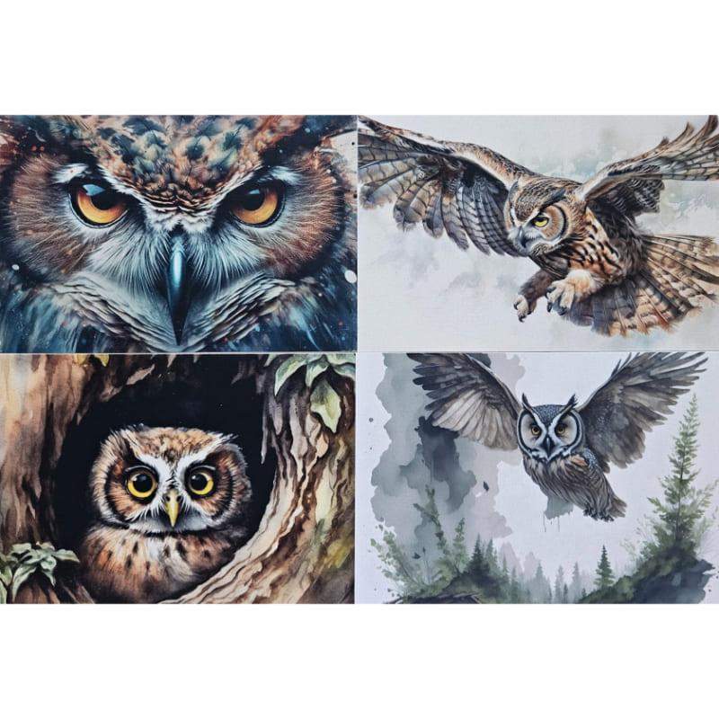 Kartki Magiczna Fauna 4 szt. Puchacz