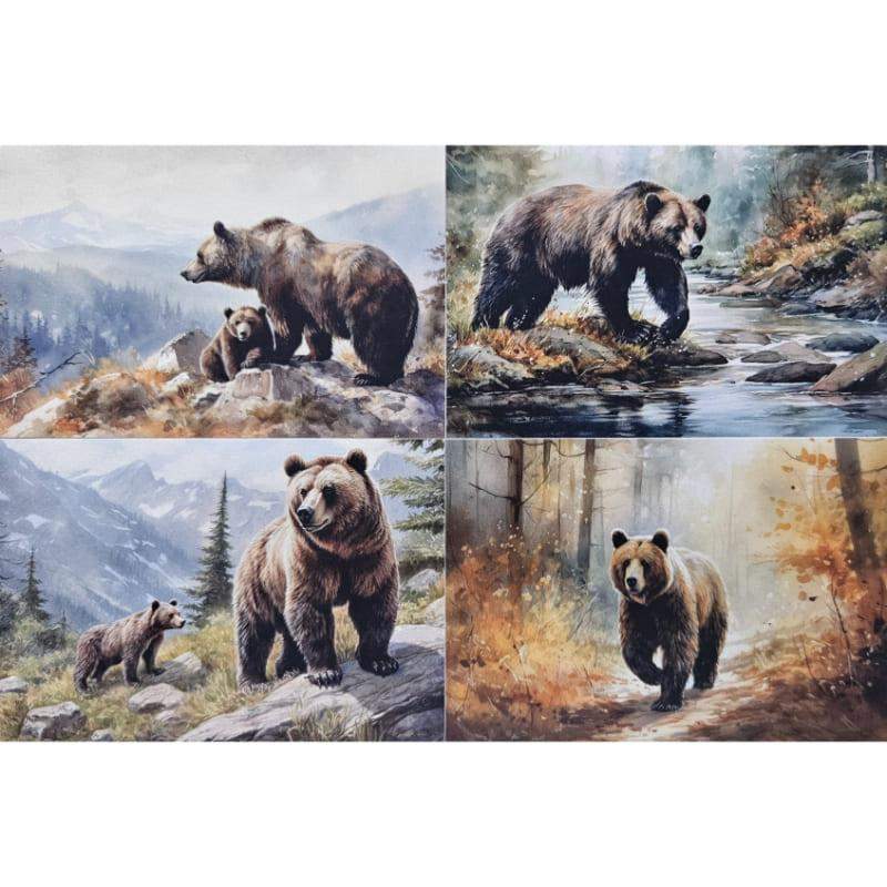 Kartki Magiczna Fauna 4 szt. Niedźwiedź Brunatny