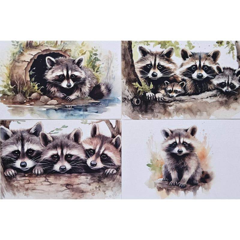 Kartki Magiczna Fauna 4 szt. Szop Pracz