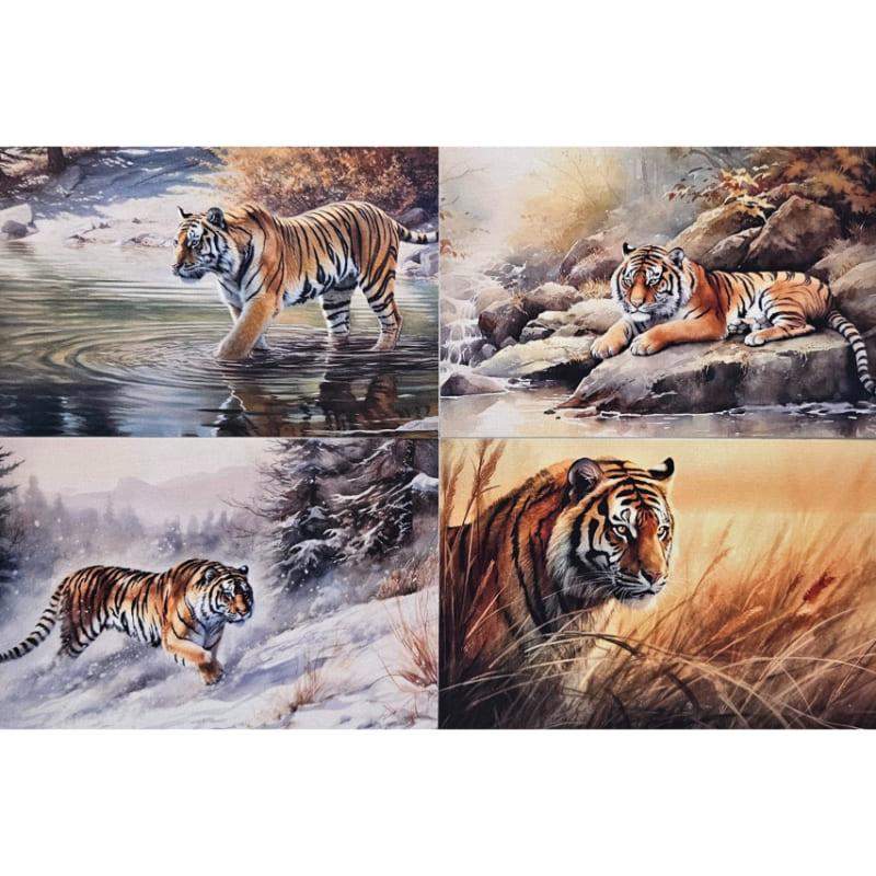 Kartki Magiczna Fauna 4 szt. Tygrys