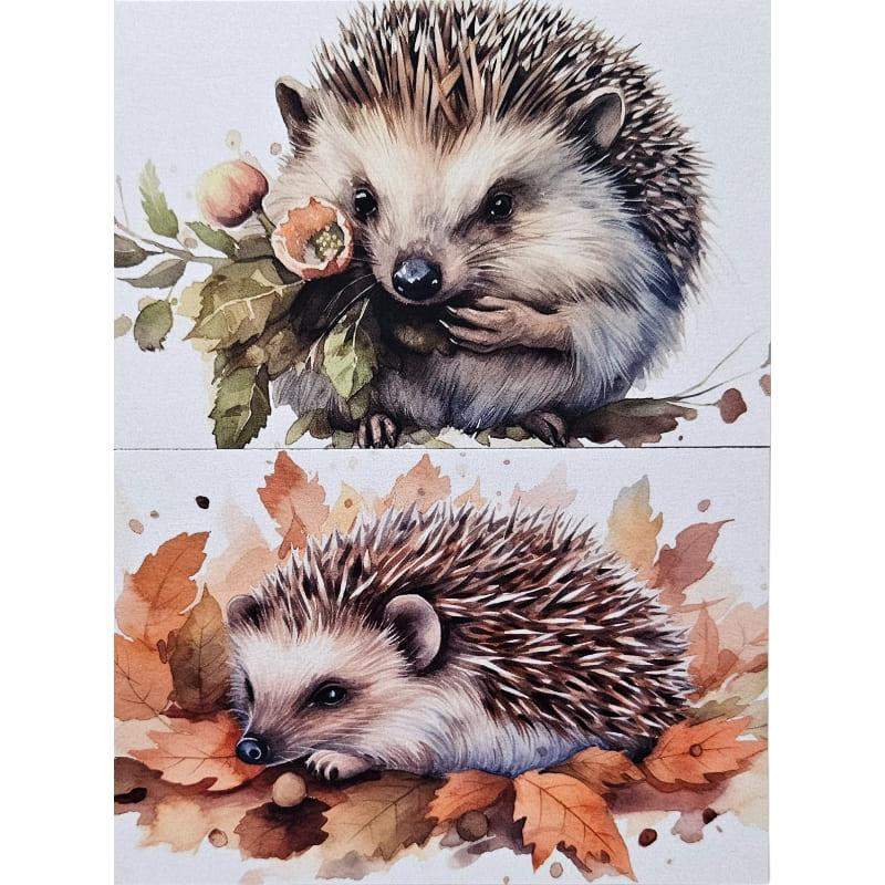Kartki Magiczna Fauna 2 szt. Jeż