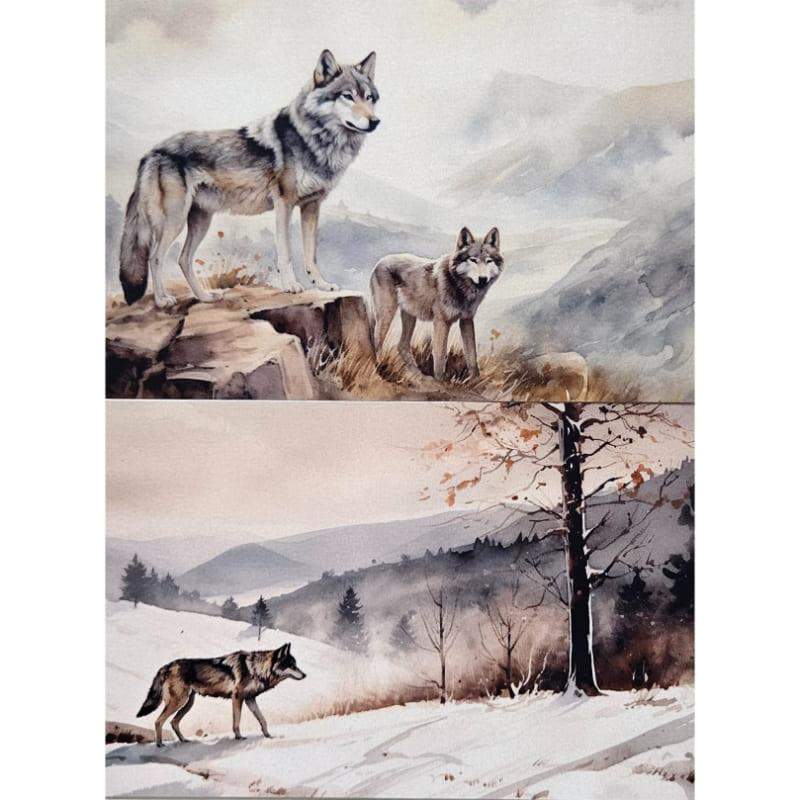 Kartki Magiczna Fauna 2 szt. Wilk 0