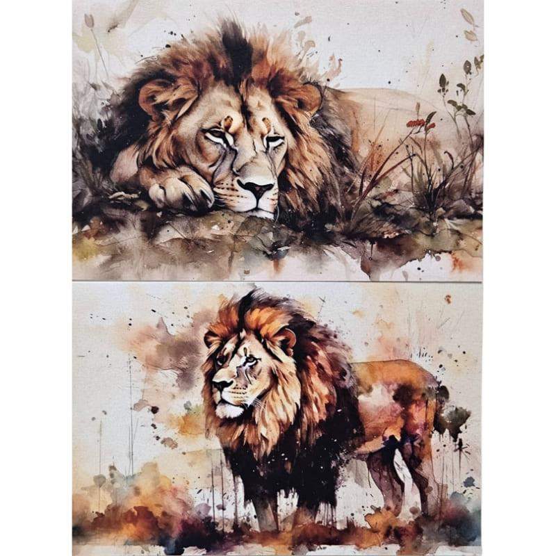 Kartki Magiczna Fauna 2 szt. Lew