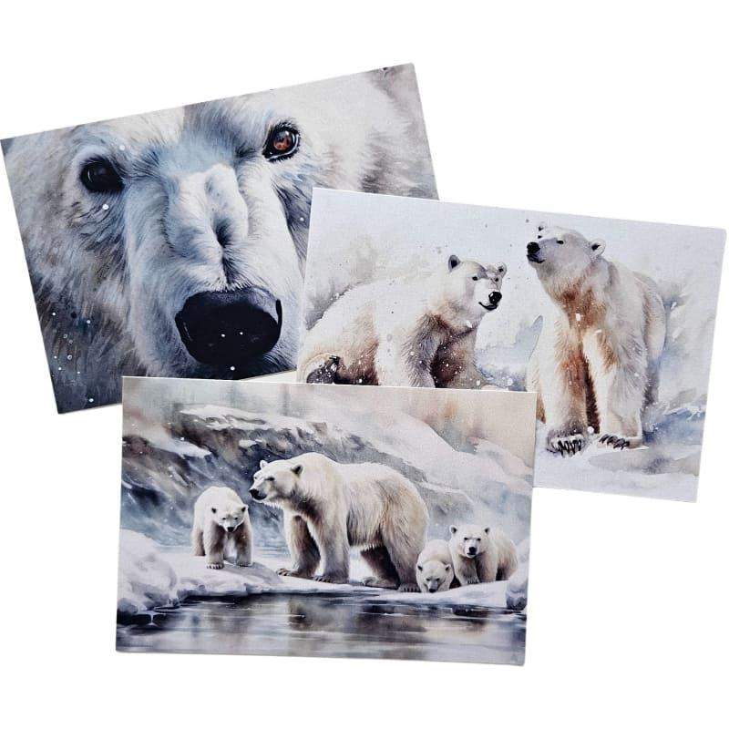 Kartki Magiczna Fauna 3 szt. Niedźwiedź Polarny