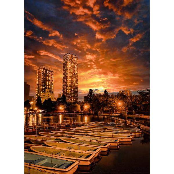 Pocztówka Shinobazu Pond, Tokio, Japonia 1 szt. 0